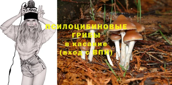 a pvp Алексин