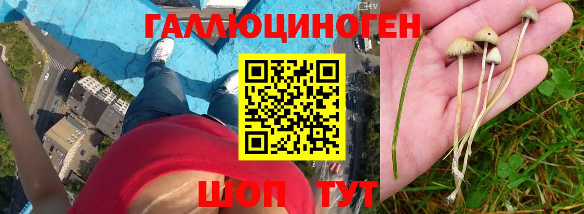 цена   Вход с VPN  Кыштым  Псилоцибиновые грибы мухоморы 